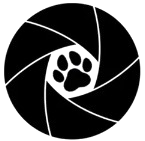 ShutterPaws logo